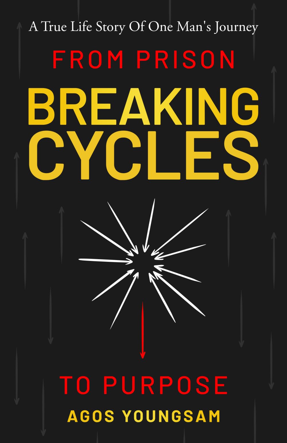 Breaking Cycles: From Prison to Purpose