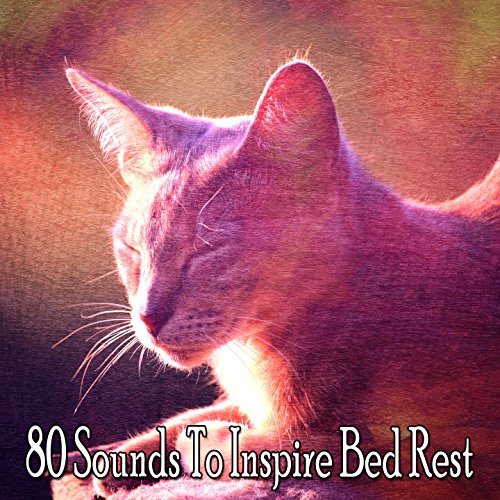 Amazon Music Sleep Sounds of Natureの80 Sounds To Inspire Bed Rest