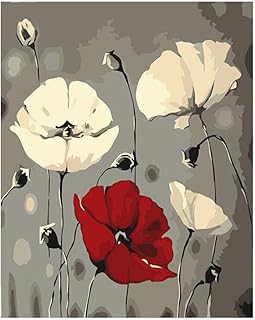 Xpboao Dipingi con Numeri per Adulti e Bambini - Mira Huafen - DIY Pittura Acrilica con - per la Decorazione della Casa - 30x40cm - Senza Cornice