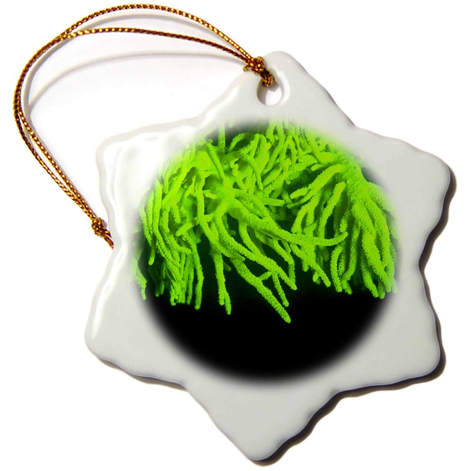 3 inch Snowflake Porcelain Ornament - Fluorescence, Soft Coral, Illi Api, Indonesia-AS11 SWS0629 - Stuart Westmorland Marine Life