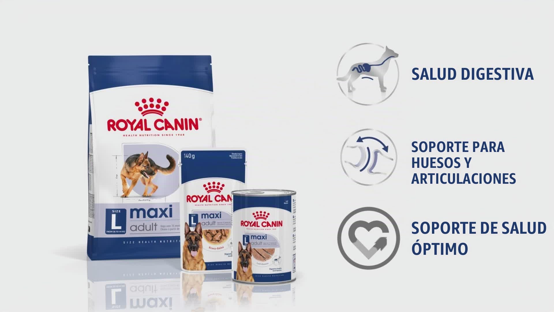 Royal Canin Comida para perros Maxi Adult 10 Kg