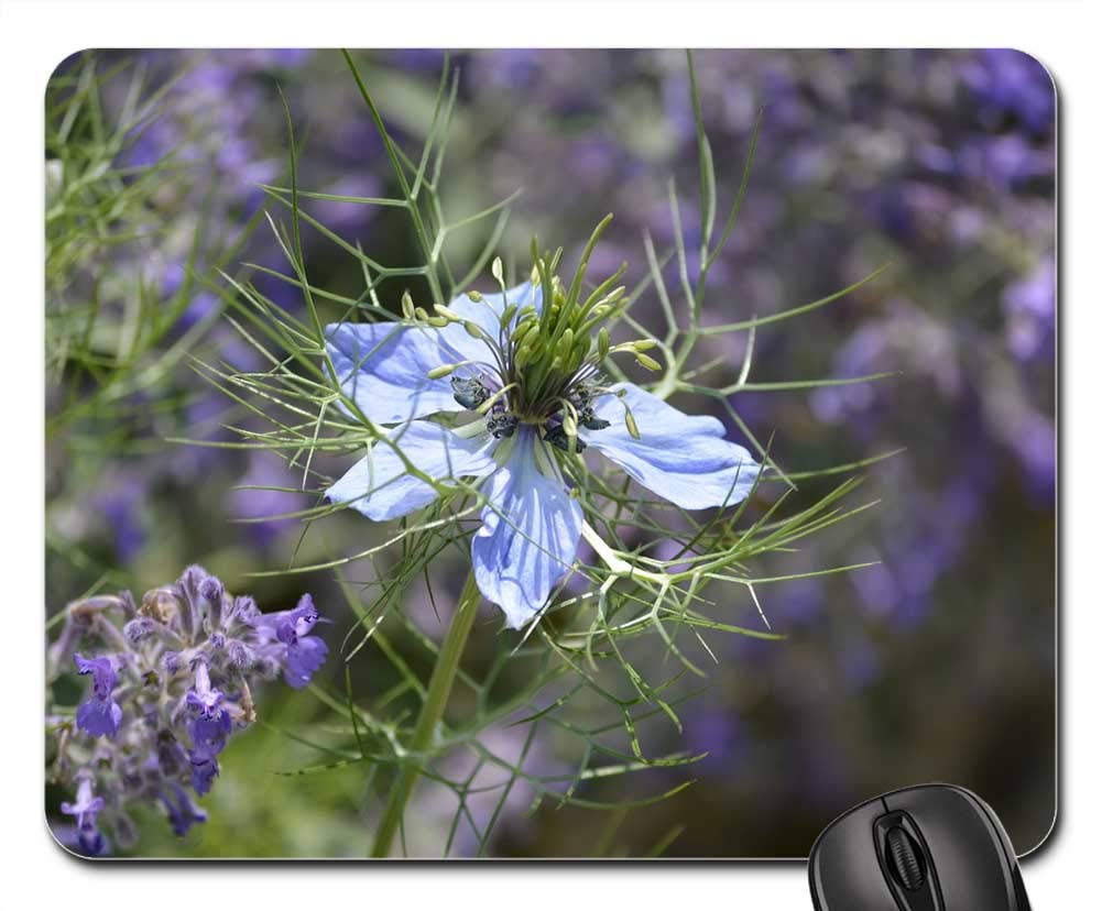 Mouse Pad - Flowers Miracle Nature Bloom