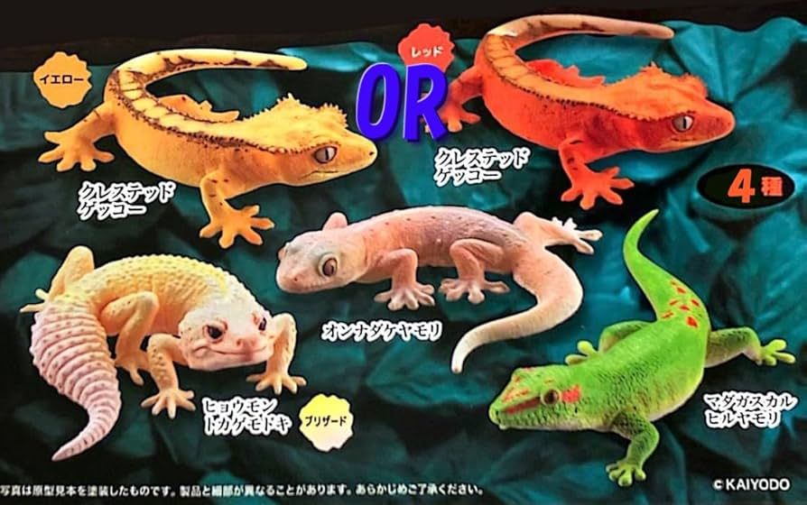 【新品・未開封】 ヤモリ大全Ⅱ クレステッドゲッコー フルコンプセット Amazon.co.jp: カプセルQ ヤモリ大全II クレステッドゲッコー