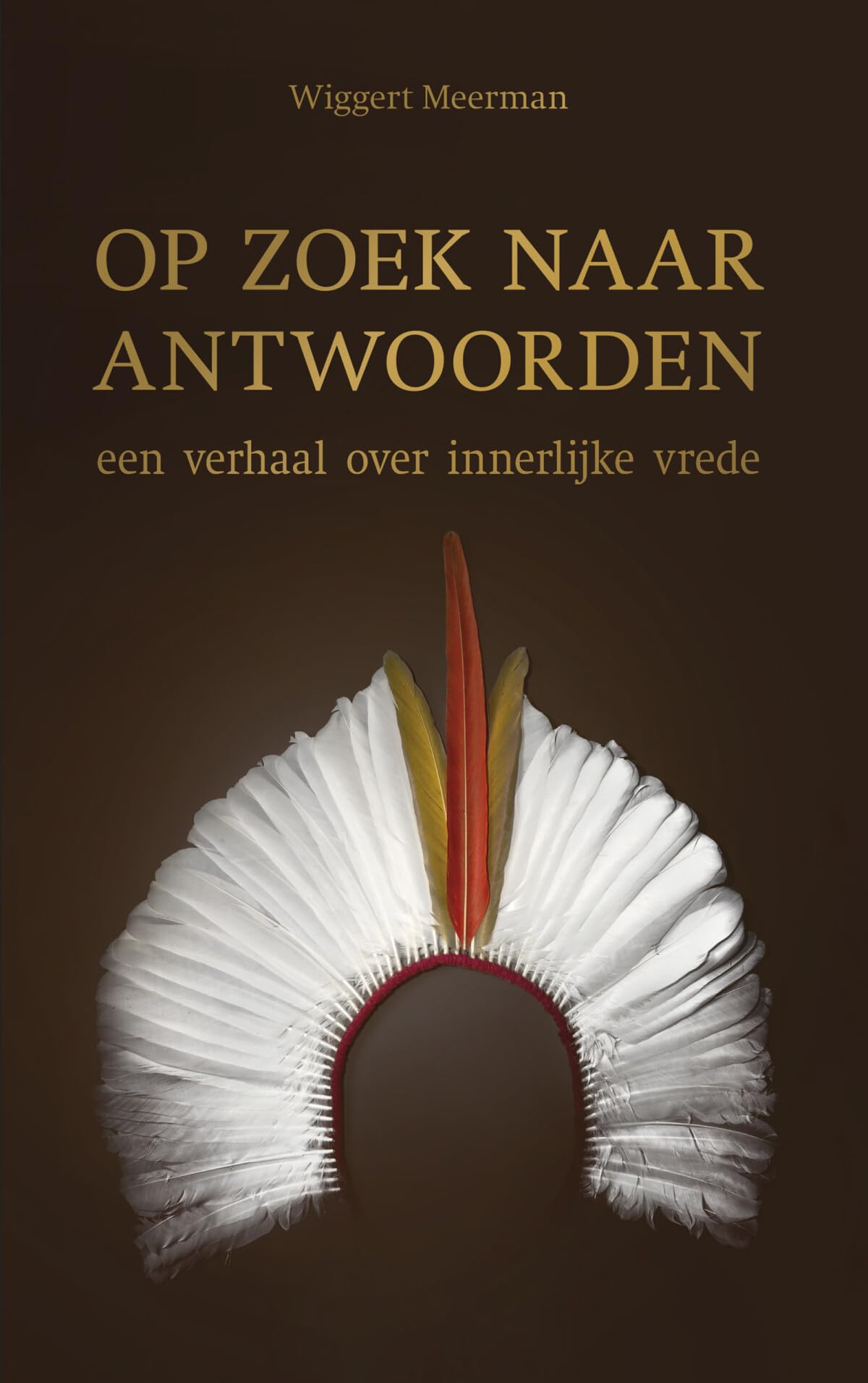 Op zoek naar antwoorden: een verhaal over innerlijke vrede