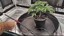 Review Image by Schmid Schmid