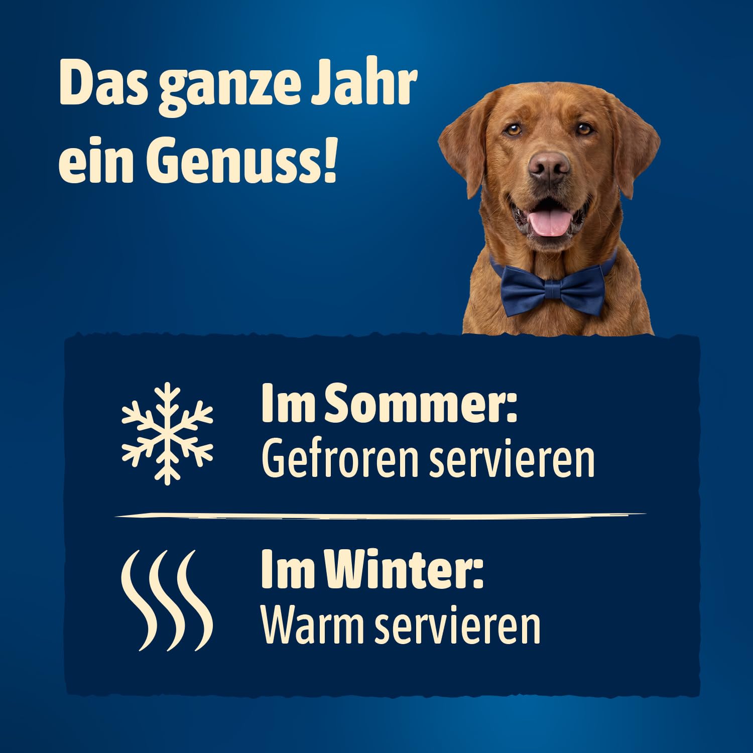 NutriQM® M!EAT Snack Soup - Hunde Suppe mit Hühnerfilet & Gemüse - 6 x 280g - Hundefutter Topping - Getreidefreier Flüssig Snack - Ideal als EIS, Schlecksnack & Warme Suppe - Made in Germany