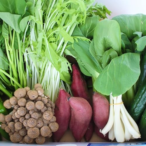 野菜王国なめがたの旬野菜便(さつまいも入り)