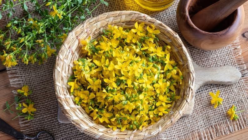 Miniatura 5 de Te Herbal Hierba de San Juan 4 onzas, té de hierbas (té de flores de hierba de San Juan), bolsa resellable, 100% té fresco natural