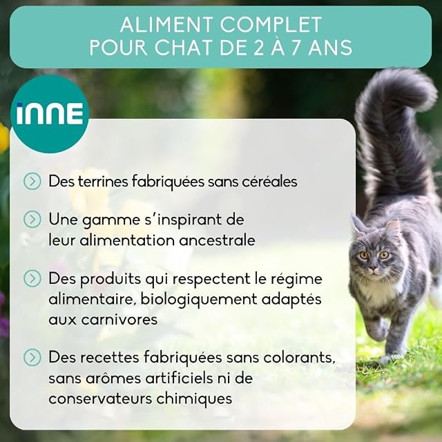 Foto 2 de 5 de Nutrivet - INNE Gato - Paté - Adulto - Trucha 100g x16