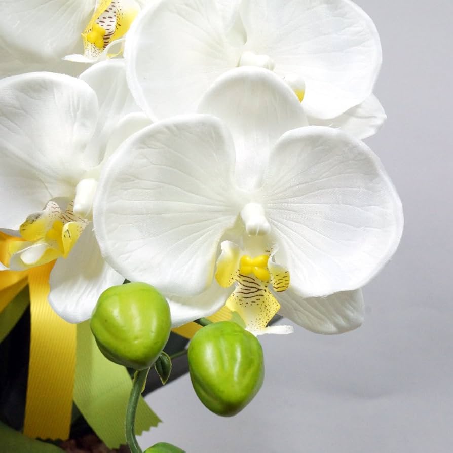 特大サイズ　白　胡蝶蘭　造花　陶器鉢　アートフラワー　ホワイト　美品　送料込み アートフラワー プレミアム胡蝶蘭10本立W インテリア 鉢植え 造花