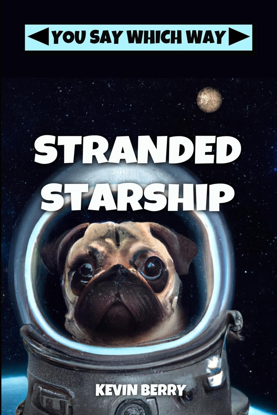 Stranded Starship: 7 (You Say Which Way)