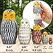 AEVVV Owl Nesting Dolls Set of 5 pcs - Matryoshka Doll with Decorative Owl Figurines - Owl Stuff - Owl Gifts - Wood Owl Decor - Owl Wood Craft