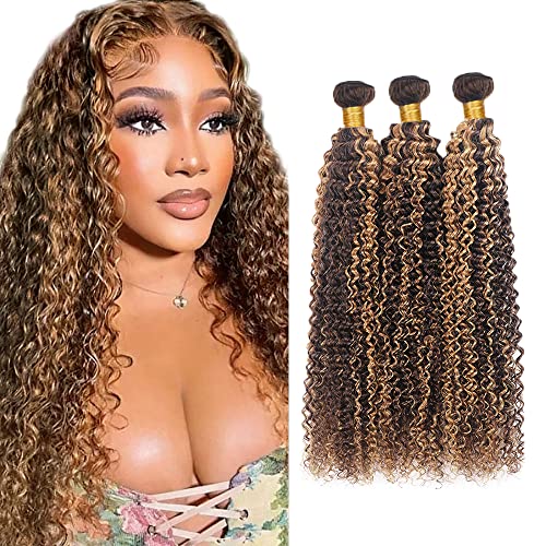 26 28 30 Inch Highlight Bundles Kinky Curly Ombre Human Hair Bundle Brazilian Virgin Brwon Kinky Curly Human Hair 3 Bundles P4/27 Human Hair Bundles Ombre 2 Tone Brown and Blonde Curly Bundles
