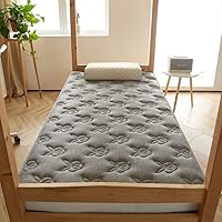 Vista 1 de Colchón de futón japonés para el suelo, colchón portátil de campamento, tapete plegable de tatami, colchón de piso enrollable, almohadilla para Gris1