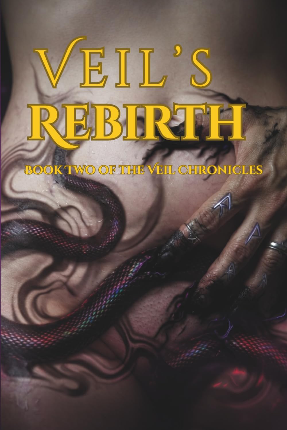 Veil's Rebirth: Book Two of the Veil Chronicles