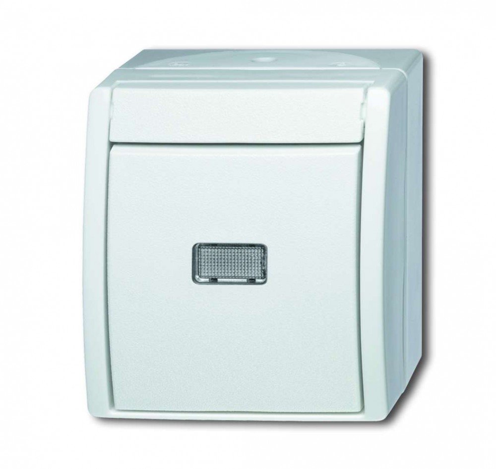 Busch-Jaeger 2621 WGL Rocker