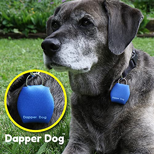 Image of Dapper Dog - Dog Tag Silencer with Tag Ring (Blue)