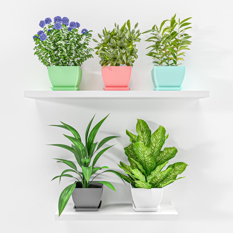 Image of StyleX Store Plastic Square Flower Pots with Tray | Durable Outdoor Indoor Planters with Drainage Hole Saucers | Stylish Plant Containers for Home, Garden, Office, and Balcony (Set of 5, Multicolour)