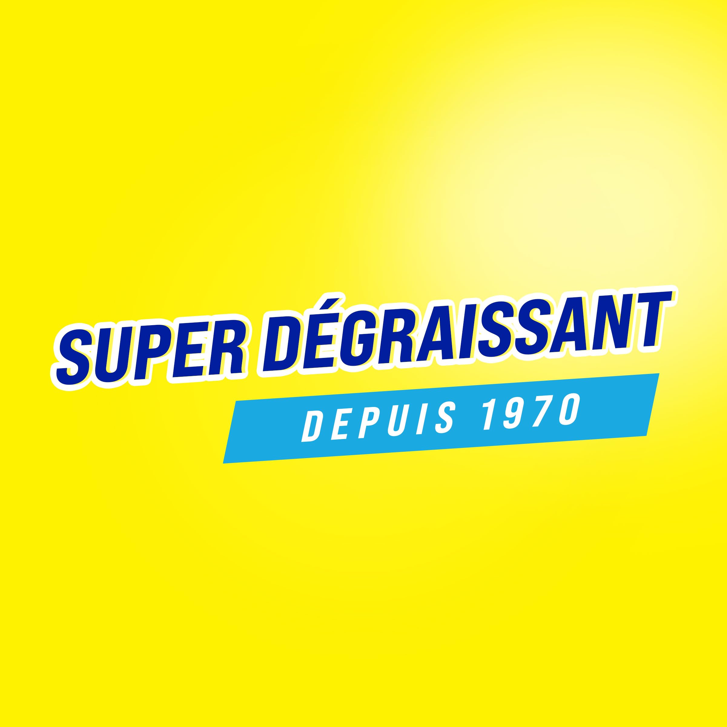 PAIC - Liquide Vaisselle éclat citron - Super dégraissant - Nettoie - Dégraisse - Elimine les mauvaises odeurs - Lot de 4 x 750 ml