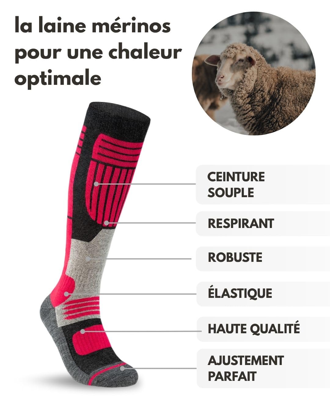 sockenkauf24 Chaussettes de Ski Femme Laine Merinos 2 Paires