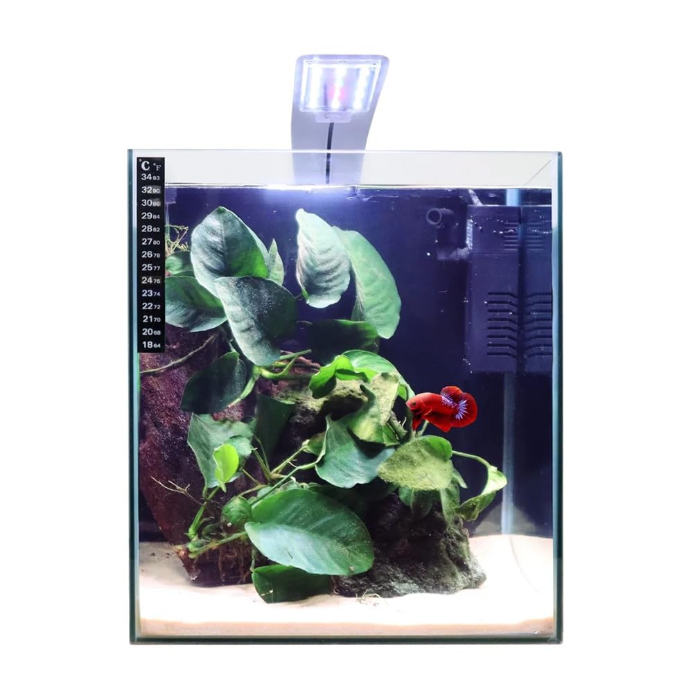 Swell Cube Aquarium 28cm Tropical Freshwater LED Fish Tank Kit 25ltrs