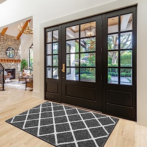 Finchitty Indoor Door Mat, Non-Slip Absorbent Resist Dirt Entrance Mat, Washable Mats for Entryway, Low-Profile Inside Floor Doormat, 48" x 32", Black - Thumbnail 6