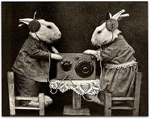 Weird Unusual Bunnies Listening to Radio with Headphones