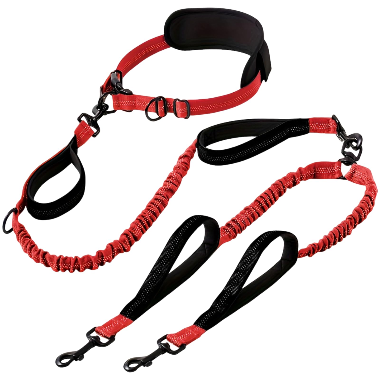 Laisse Mains Libres pour Chiens, Double Laisse pour 2 Chiens avec Corde élastique amortissante, Ceinture de Taille réglable et 4 poignées rembourrées, sans nœuds pour Course, Marche et entraînement