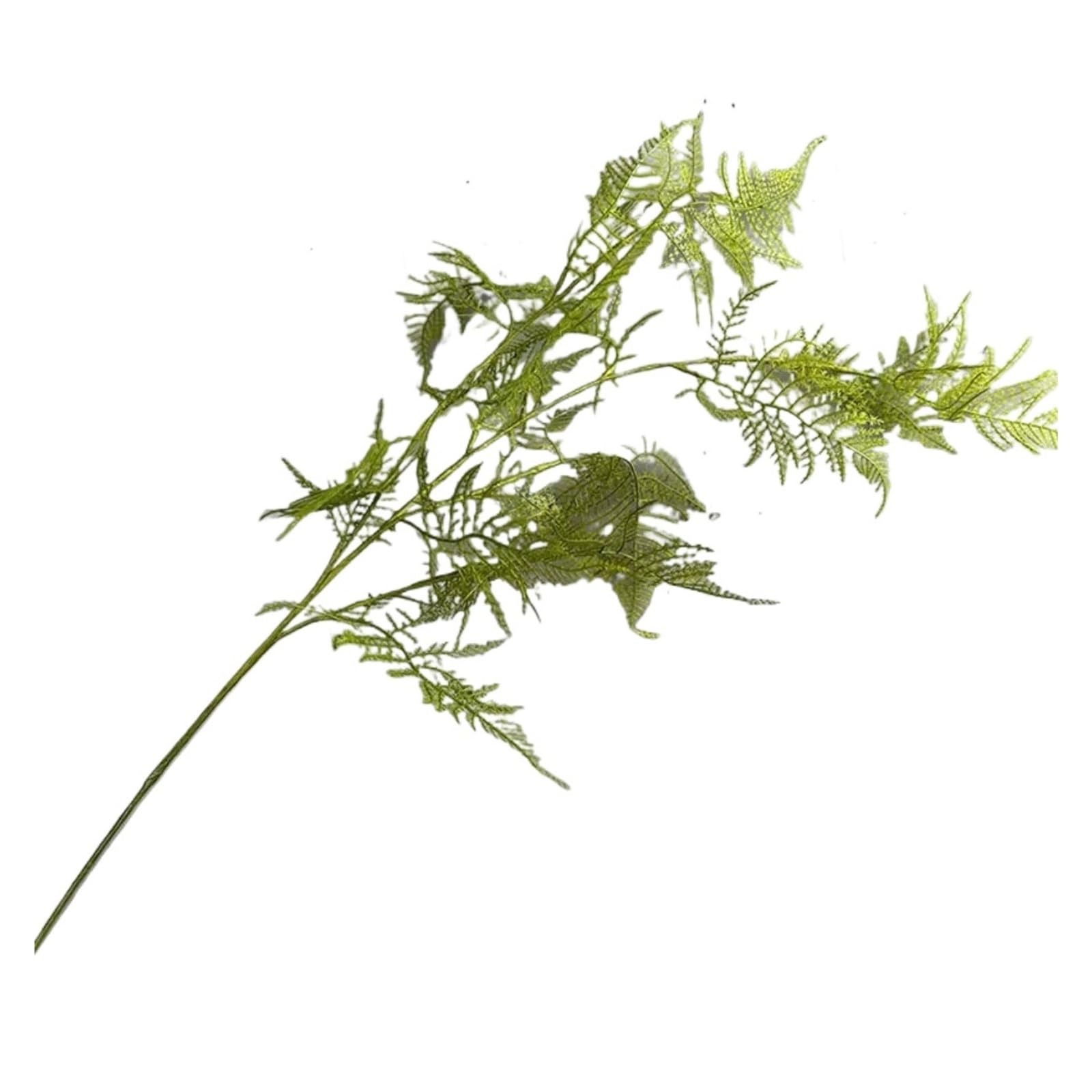 YGLEEULI Artificial Foliage Stems Large Artificial Fern Plant Branches Leaves Handmade Asparagus(Light Green)
