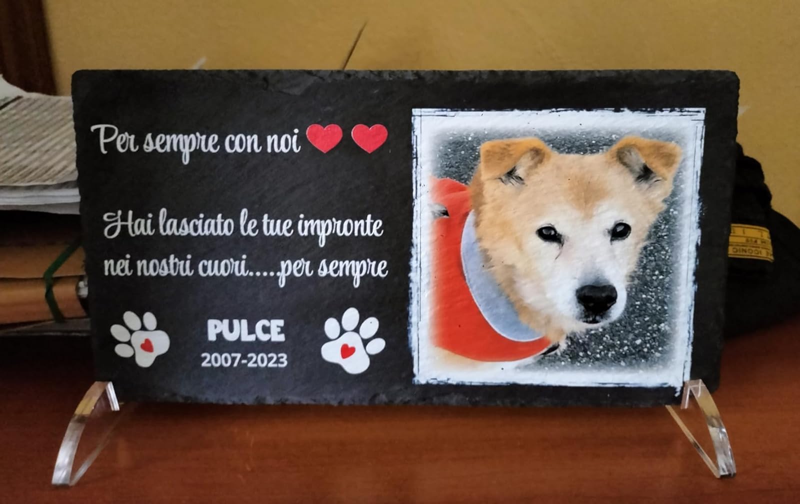Lapide commemorativa per Cane e Gatto, Memoriale Personalizzabile in Pietra, Lapide Cane Personalizzata per Esterno con Foto del Tuo Animale Domestico (Rettangolare 32,5x17,6cm)