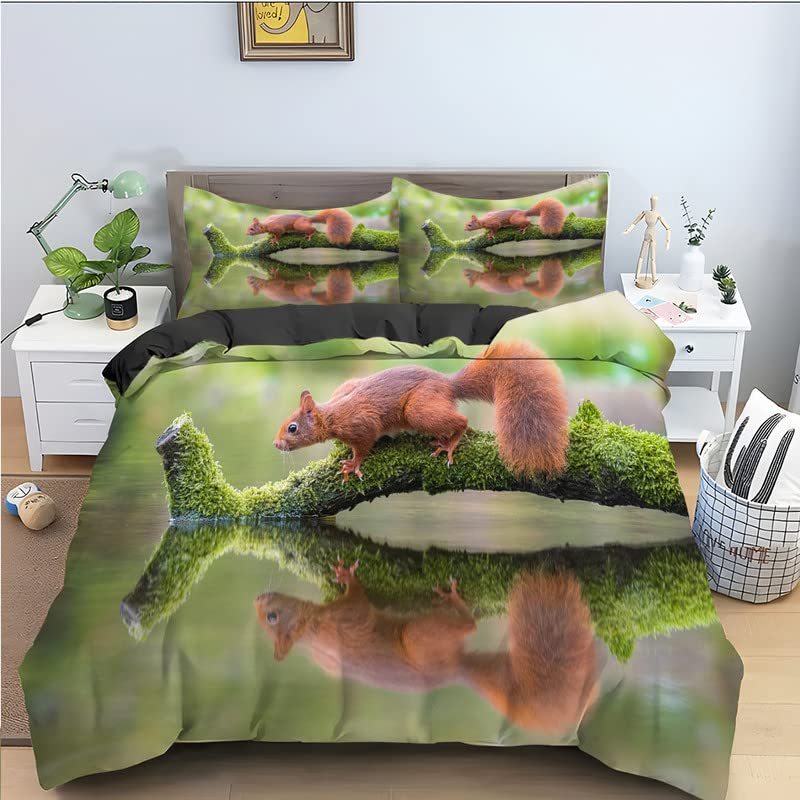 Housse de couette 220x240 écureuil pour une chambre nature et cocooning