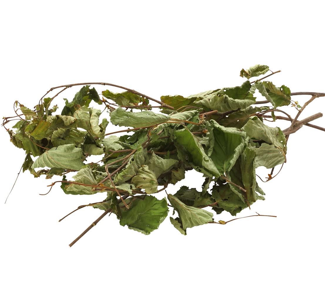 L'Eden Des Pattounes - Bleuet Bleu - Petit Compagnon - Tout Pour Le