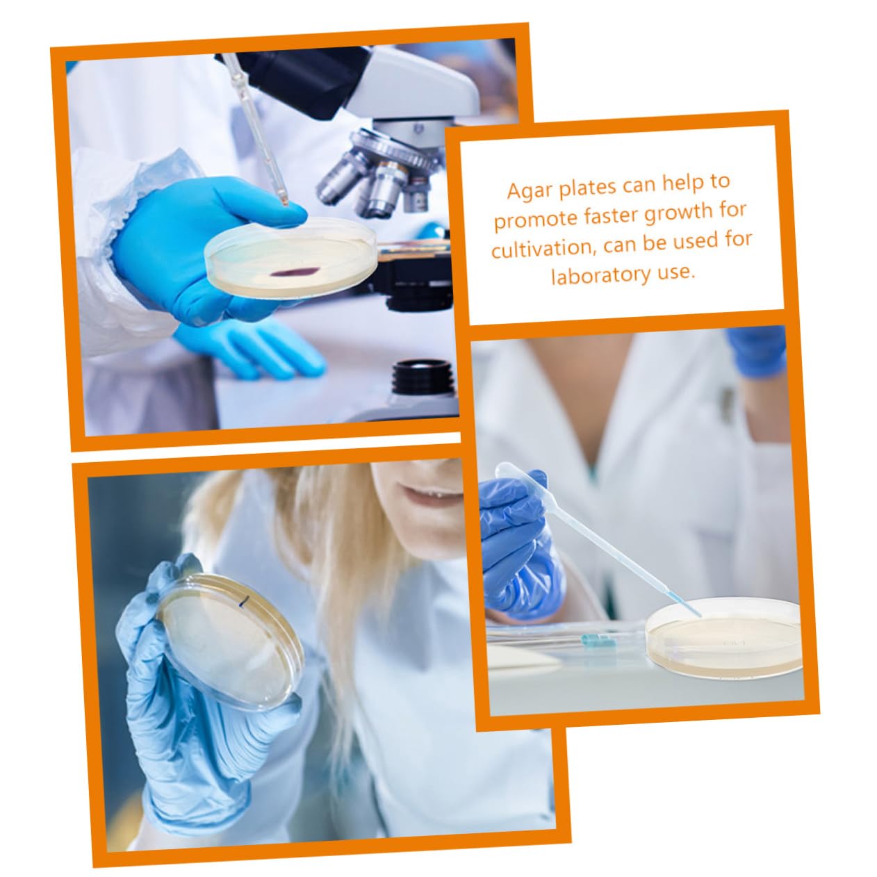 20 Pz Piastra Di Agar Nutriente Piastre Di Petri Con Agar Piastre Di Agar Per Esperimenti Piastra Di Petri Piastre Di Agar Petri Piatti Di Agar Ai 7c Ordinario Attrezzatura