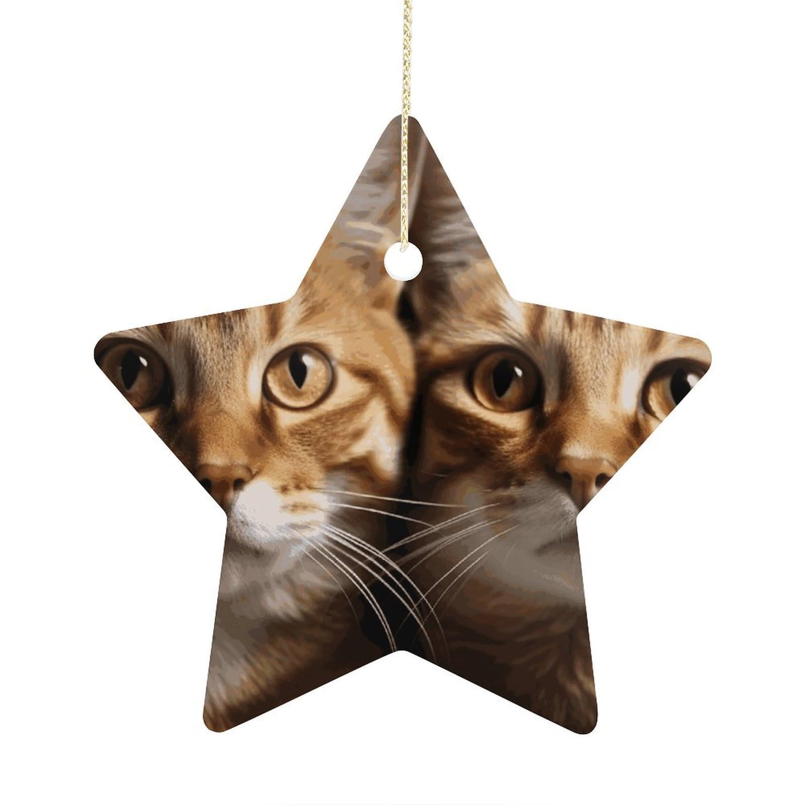 Cats Stars Ornaments Ceramic Christmas Tree Hanging Light in Weight Christmas Star Pendants Funny Double-Sided Printed Xmas Ornaments for Gifts