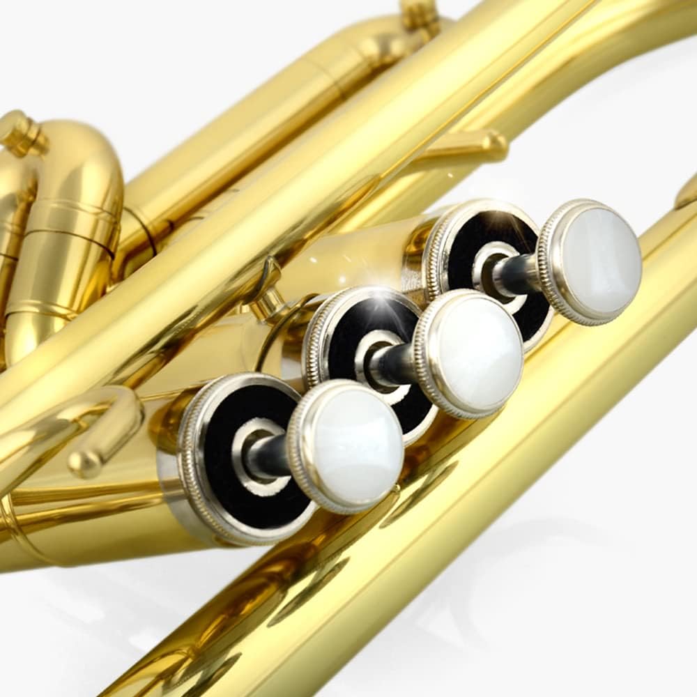 JUUXAAN Brass Standard Bb Trumpet Instrument with Hard Case,Gloves, 7C Mouthpiece for Student Beginner (golden) : Musical Instruments