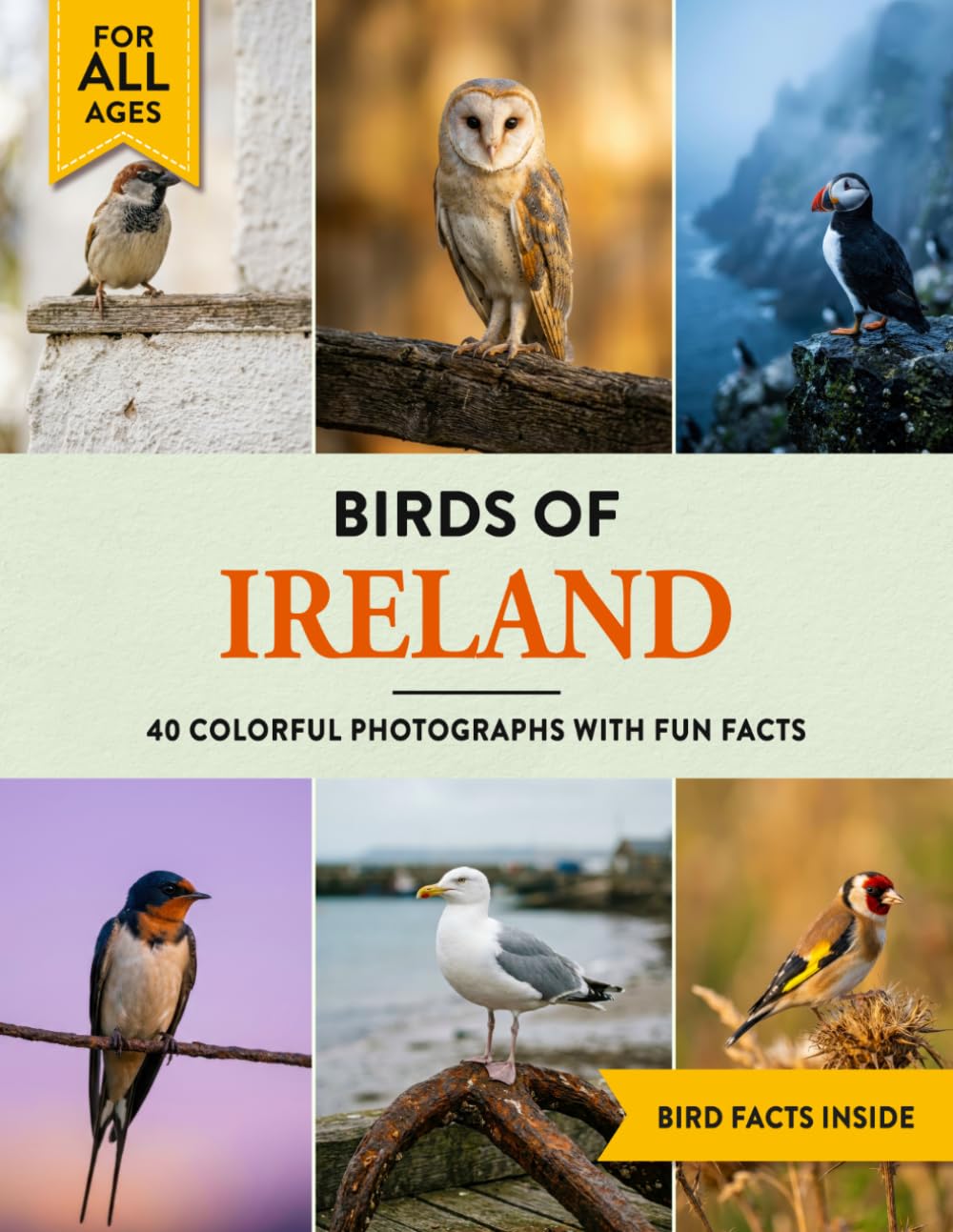 Birds of Ireland: A Birdwatching Picture Book with Fun Facts and Photography for Kids, Adults & Birders