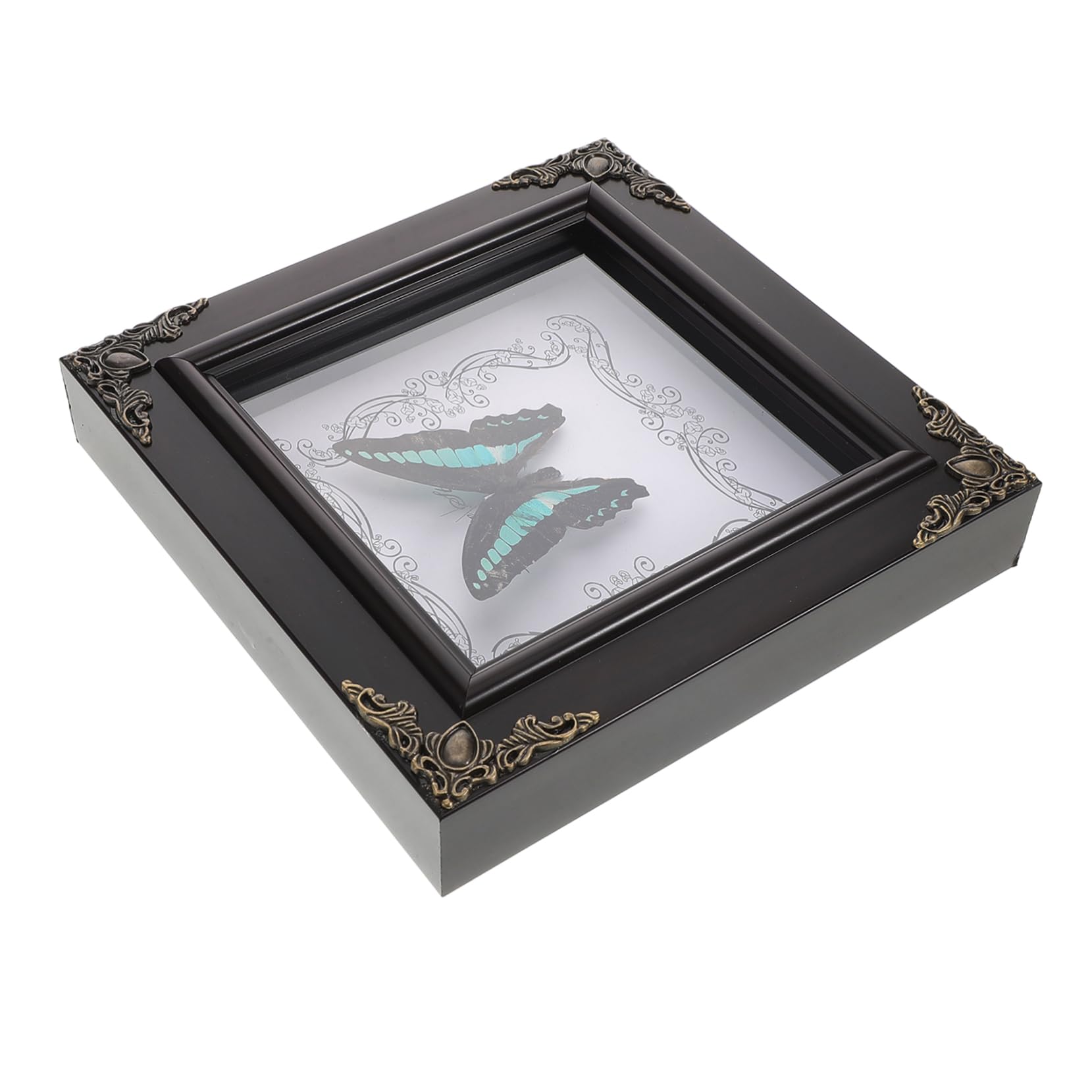 SUPVOX Real Butterfly Specimen Frame Vintage Framed Artwork Home Decor Butterfly Display Shadow Framed Stylish Vintage Decor