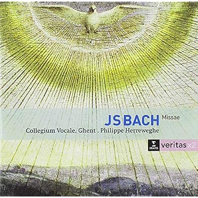 Bach: Masses BWV 233-236; Sanctus BWV 238