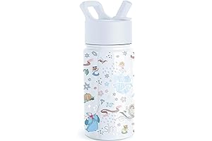 Simple Modern Cinderella Kids Water Bottle