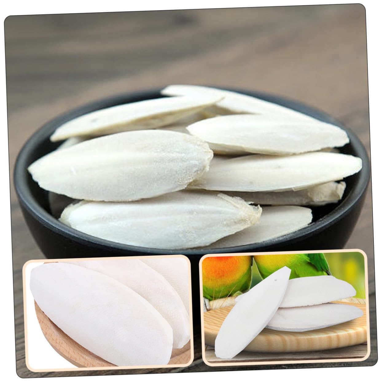 GALPADA 36 Ensembles Lot de Os de Seiche à Mâcher pour Petits Animaux de Grignotage Naturel Calcium avec Support Métallique pour Hamsters Cochons et Oiseaux