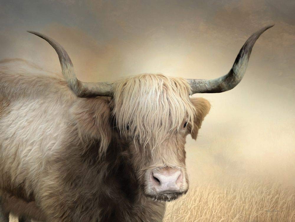 Amazon.com: ArtExpert Highland Cow In Golden Grass by Lori Deiter