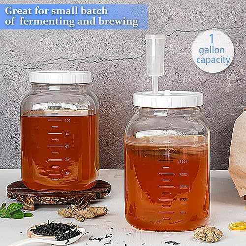 2 Pack 1 Gallon Large Fermentation Jars W 2 SCREW Lid