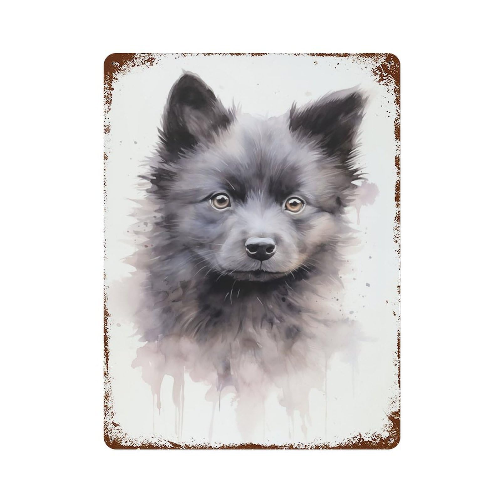 Schipperke Watercolor Vintage Wall Sign 15.7"x11.8", Rust Effect Metal Decor for Living Room, Hallway And Home Decor