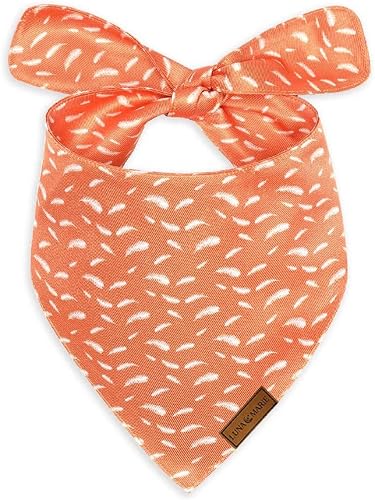 LunaMarie - Luxury Dog Bandanas - Cute Unique Designs | Premium & Soft Poly Fabric | 100% Handmade Custom Adjustable Shape Dual Layered Small, Medium, Large Pet (Orange Feathers, Small)