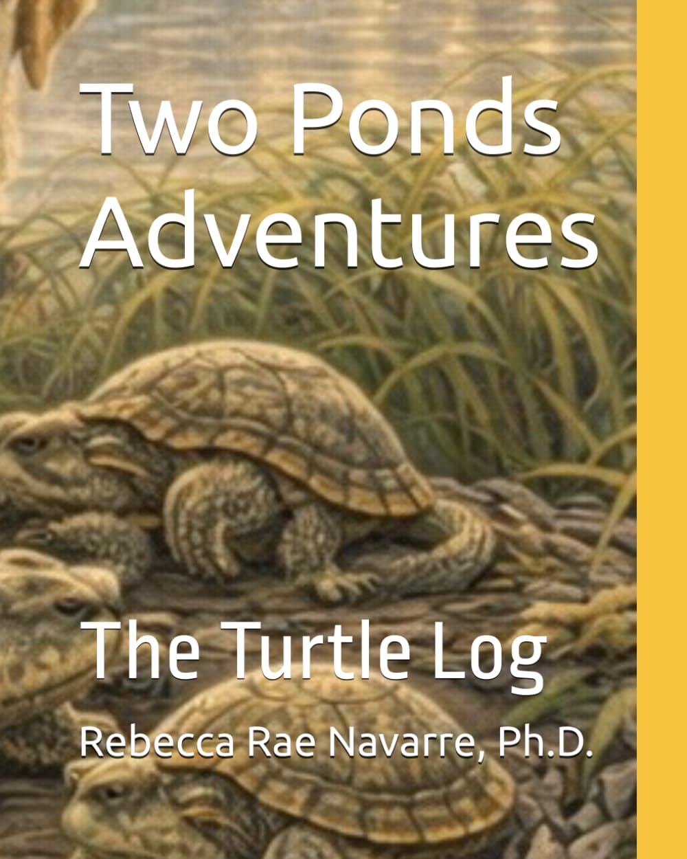 Two Ponds Adventures: The Turtle Log
