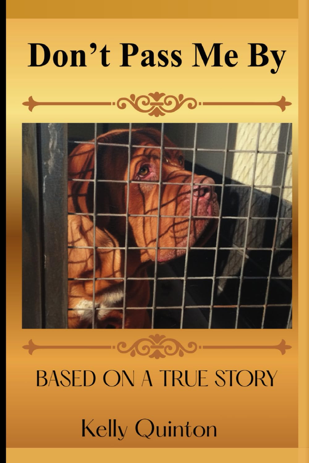 Don't Pass Me By: Don't Pass Me By A true story of a dog that waited to be chosen---And the love that found him.