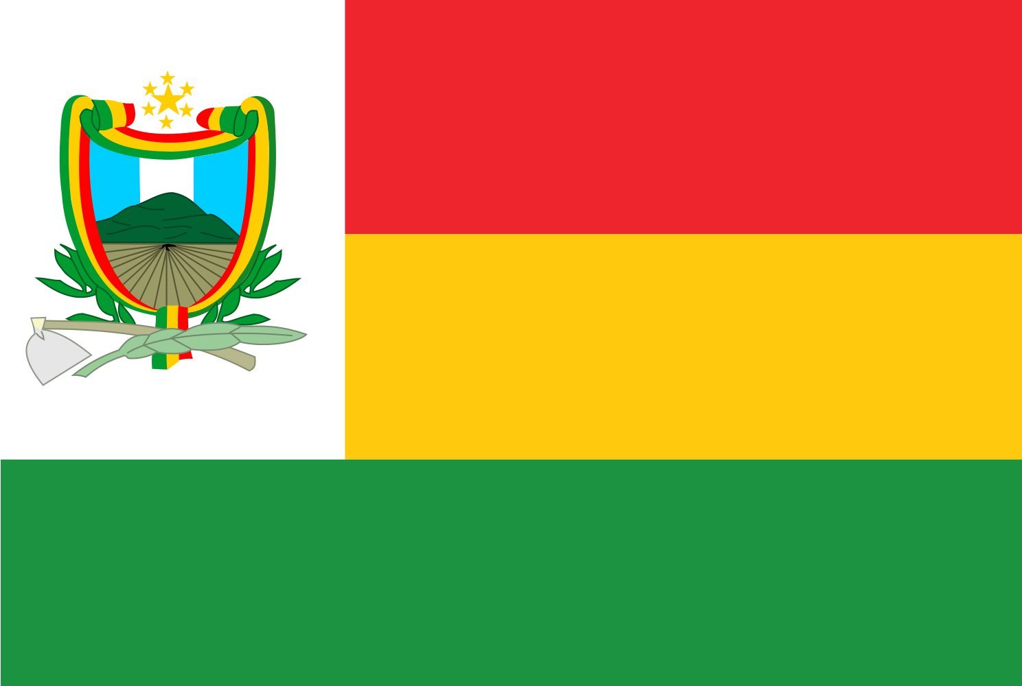 Drapeau Jalapa Guatemala de qualité supérieure à œillets