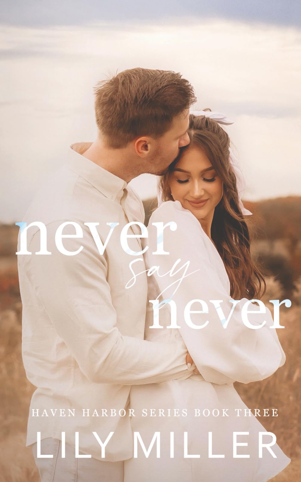Never Say Never: A Small Town Frienamies-to-Lovers Romance (Haven Harbor Book 3)