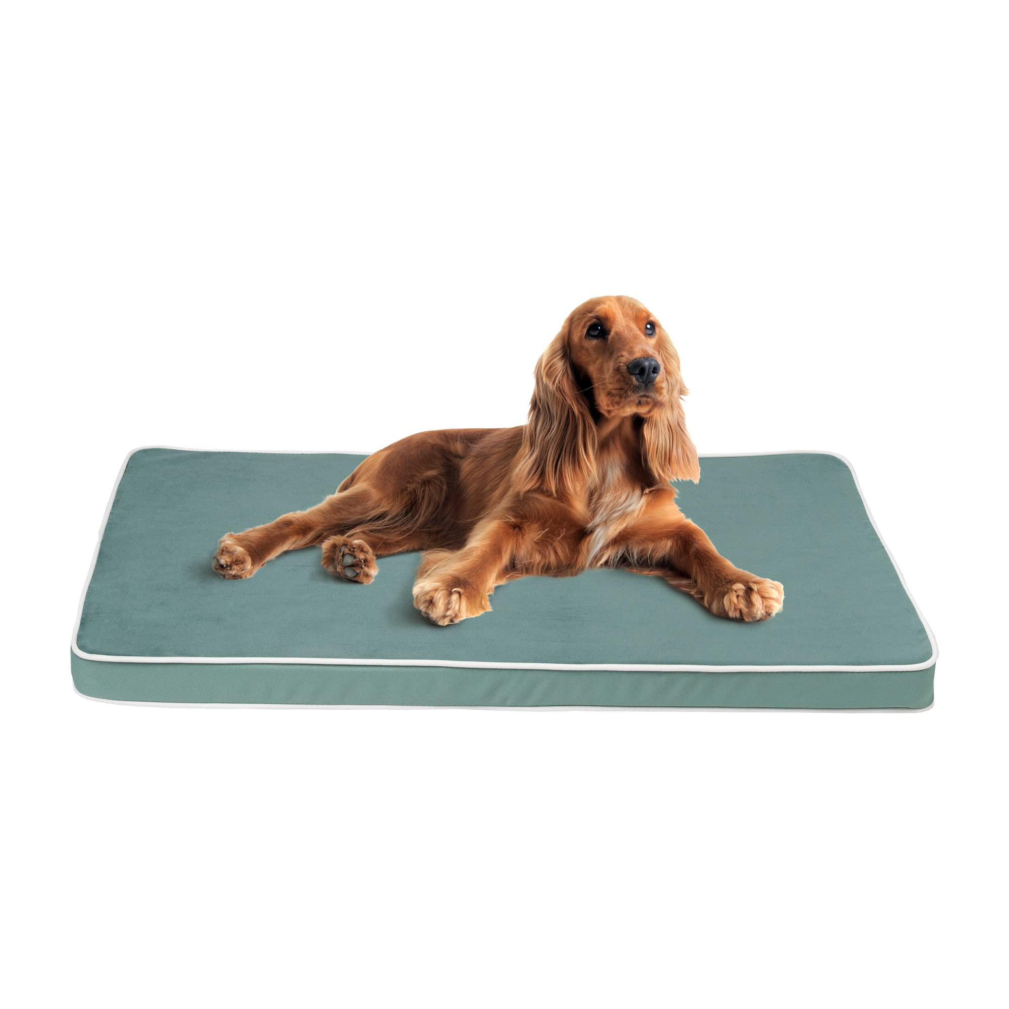 SOFTILLO Dog Bed Mattress Pad with Foam Cushion Medium, Water-Resistant Washable Removable Cover, and Orthopedic Hip and Joint Support, Flat Crate, Kennel, or Standard Bedding, M, 75x50x5cm Celadon