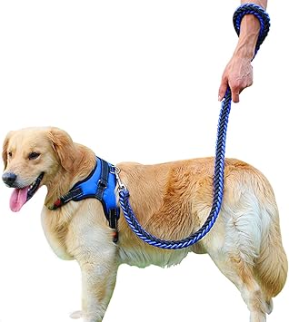 Amazon Otoku ハーネス リード付き 胴輪 首輪 犬 猫 小型 中型 大型 軽量 安全 通気 着やすい 調節でき 夜間反射 出かけ 散歩 歩行補助 多色 多サイズ 多選択 L ブルー Otoku ハーネス 通販